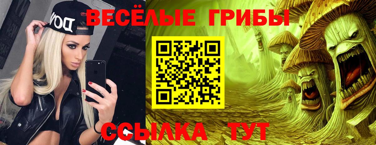 Верхняя Пышма  Галлюциногенные грибы мухоморы  как найти   Вход с VPN 