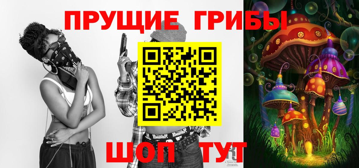 Галлюциногенные грибы мицелий Верхняя Пышма