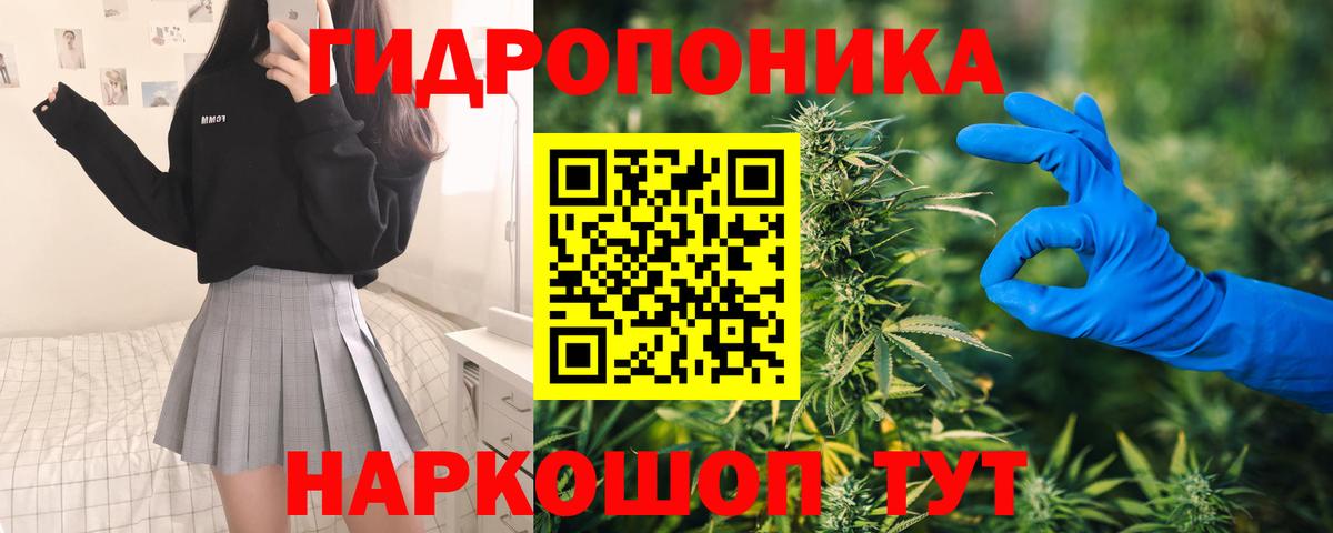 Каннабис сатива  Вход с VPN  Конопля OG Kush  Верхняя Пышма  Конопля сатива 